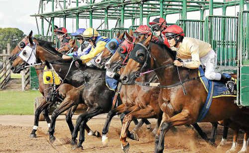 The Gympie Times Champagne and Roses Race Day boasts a five-race program packed with plenty of excitement today. Meanwhile, the feature race of the day promises a thrilling contest. The Gympie Times Champagne and Roses Race Day boasts a five-race program packed with plenty of excitement today. Meanwhile, the feature race of the day promises a thrilling contest.